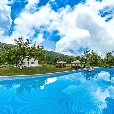 Hotel Transalpina Retreat Novaci-Străini Zewnętrze zdjęcie